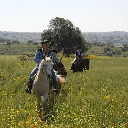 Casato Licitra Ragusa
